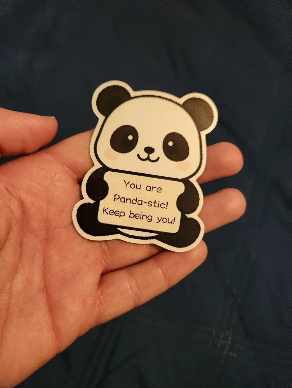 🎉 Panda Positive Saying Magnet